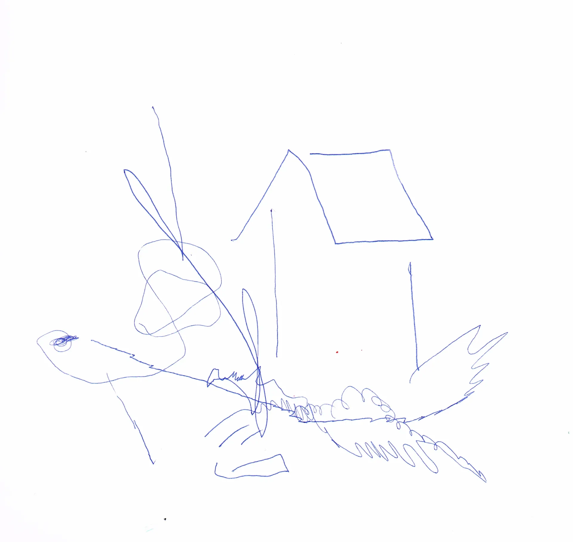Drawing